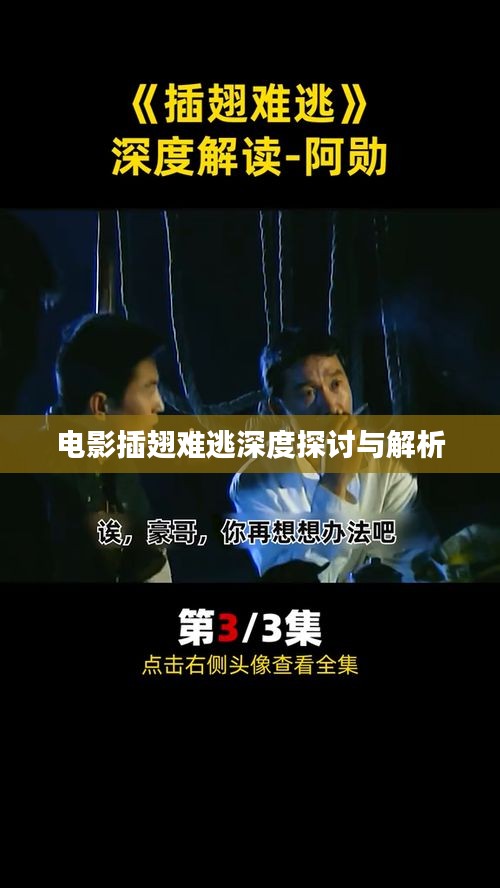 電影插翅難逃深度探討與解析