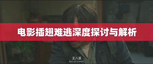 電影插翅難逃深度探討與解析