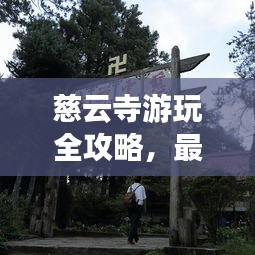 慈云寺游玩全攻略,最新路線一網打盡!