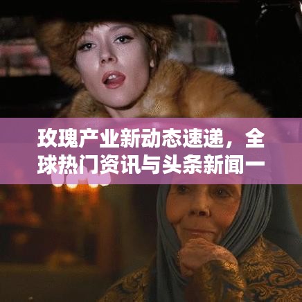 玫瑰產(chǎn)業(yè)新動(dòng)態(tài)速遞,全球熱門資訊與頭條新聞一網(wǎng)打盡