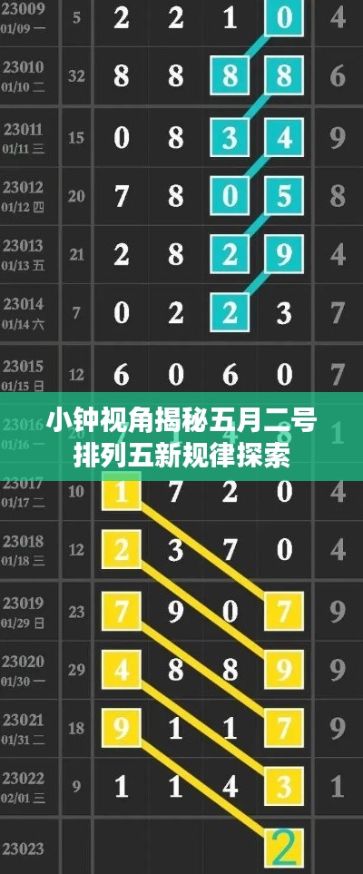 小鐘視角揭秘五月二號排列五新規律探索