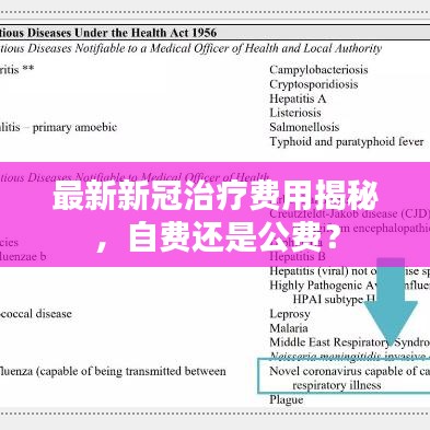最新新冠治療費用揭秘，自費還是公費？