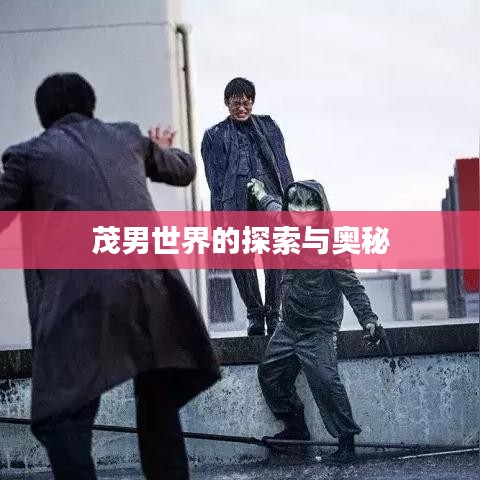 茂男世界的探索與奧秘