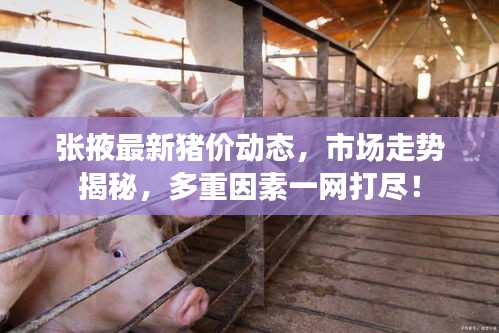 飛蝗蕪湖 第2頁