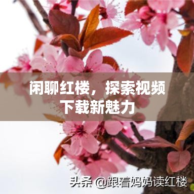 閑聊紅樓,探索視頻下載新魅力