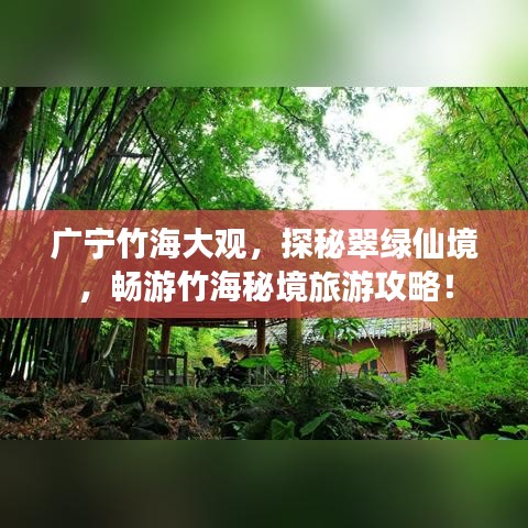 廣寧竹海大觀,探秘翠綠仙境,暢游竹海秘境旅游攻略!