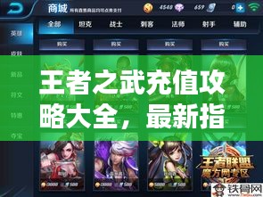 王者之武充值攻略大全,最新指南助你輕松充值!