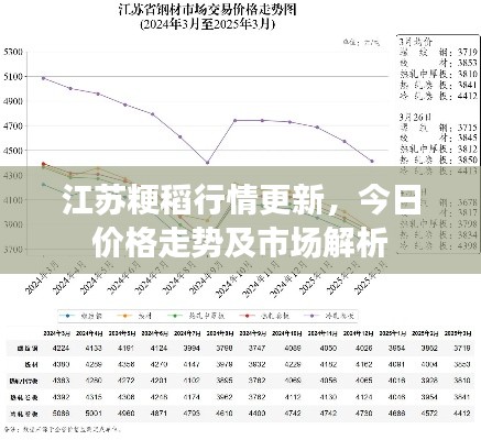 江蘇粳稻行情更新,今日價格走勢及市場解析