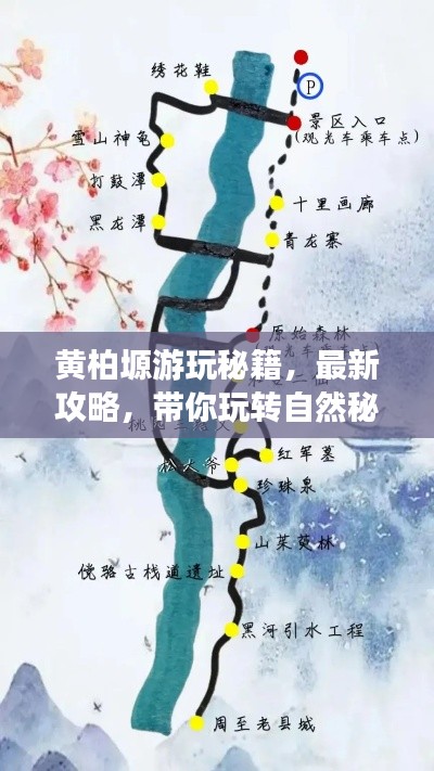 黃柏塬游玩秘籍,最新攻略,帶你玩轉自然秘境!