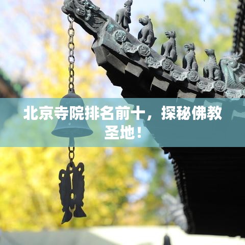 伸手不見(jiàn)五指 第2頁(yè)