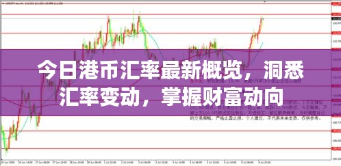今日港幣匯率最新概覽,洞悉匯率變動(dòng),掌握財(cái)富動(dòng)向