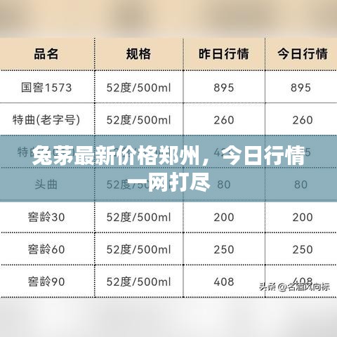 兔茅最新價格鄭州,今日行情一網打盡