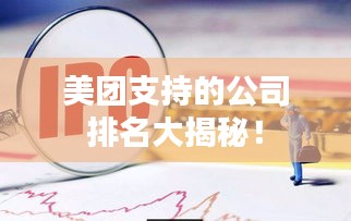 美團支持的公司排名大揭秘！