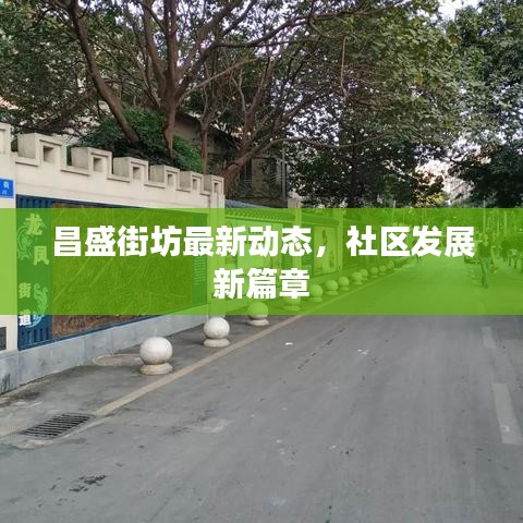 昌盛街坊最新動態,社區發展新篇章