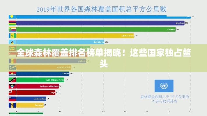 全球森林覆蓋排名榜單揭曉！這些國家獨占鰲頭