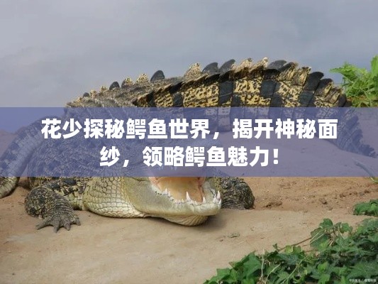 花少探秘鱷魚世界,揭開神秘面紗,領略鱷魚魅力!