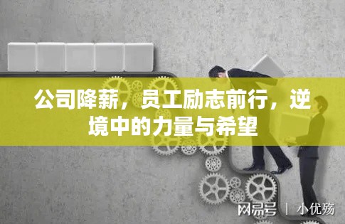 公司降薪,員工勵志前行,逆境中的力量與希望
