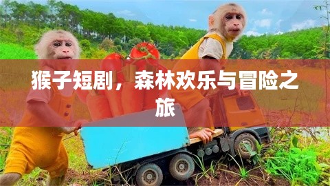 猴子短劇,森林歡樂與冒險之旅