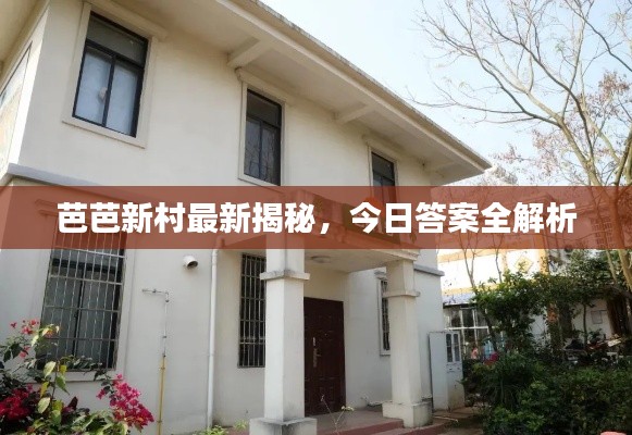 芭芭新村最新揭秘，今日答案全解析