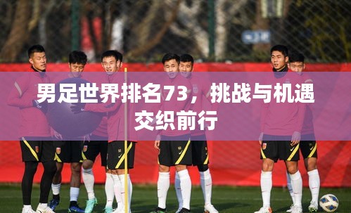 男足世界排名73,挑戰(zhàn)與機(jī)遇交織前行