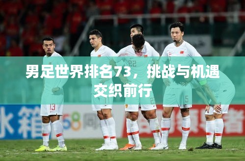 男足世界排名73,挑戰(zhàn)與機遇交織前行