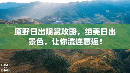 原野日出觀賞攻略,絕美日出景色,讓你流連忘返!