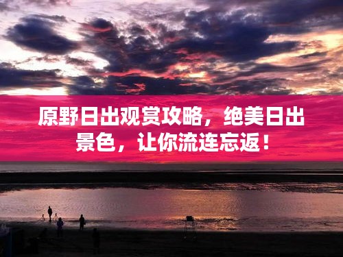原野日出觀賞攻略,絕美日出景色,讓你流連忘返!
