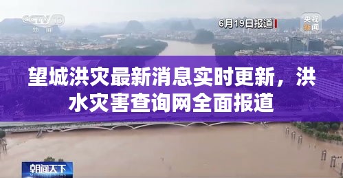 望城洪災最新消息實時更新,洪水災害查詢網全面報道