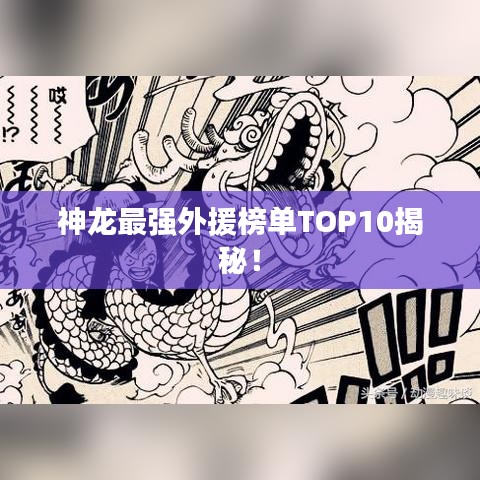 神龍最強外援榜單TOP10揭秘!