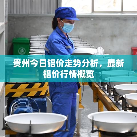 貴州今日鋁價走勢分析,最新鋁價行情概覽