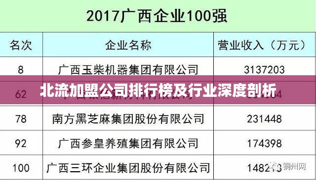 北流加盟公司排行榜及行業深度剖析