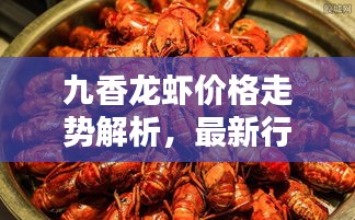 九香龍蝦價(jià)格走勢解析,最新行情與報(bào)價(jià)一網(wǎng)打盡