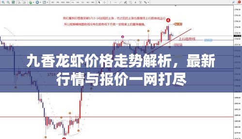 九香龍蝦價(jià)格走勢解析,最新行情與報(bào)價(jià)一網(wǎng)打盡