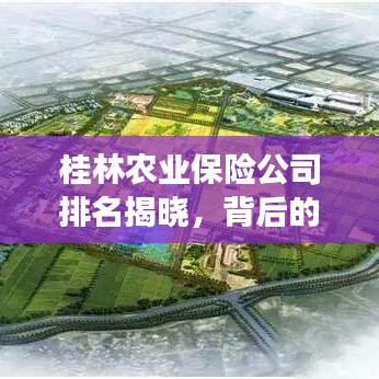 桂林農業保險公司排名揭曉,背后的故事引人關注