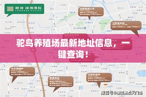 駝鳥養(yǎng)殖場最新地址信息,一鍵查詢!