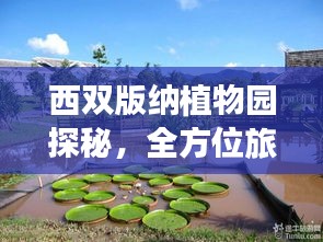 西雙版納植物園探秘,全方位旅游攻略