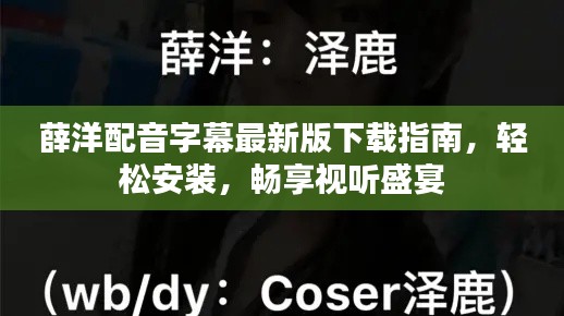 薛洋配音字幕最新版下載指南,輕松安裝,暢享視聽盛宴