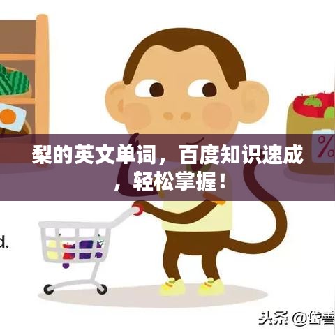 梨的英文單詞,百度知識速成,輕松掌握!