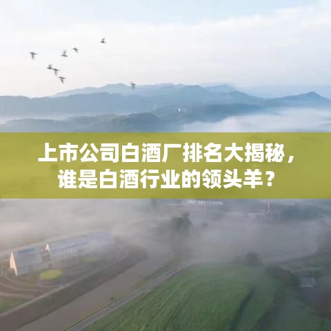 上市公司白酒廠排名大揭秘,誰是白酒行業的領頭羊?