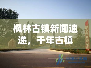 楓林古鎮(zhèn)新聞速遞,千年古鎮(zhèn)煥發(fā)勃勃生機