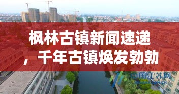楓林古鎮(zhèn)新聞速遞,千年古鎮(zhèn)煥發(fā)勃勃生機