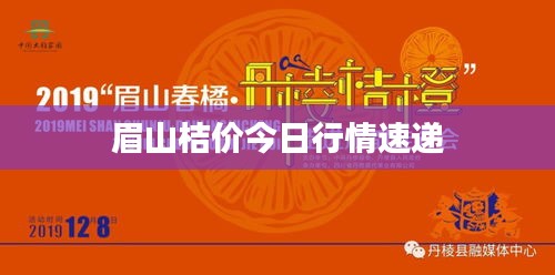眉山桔價今日行情速遞