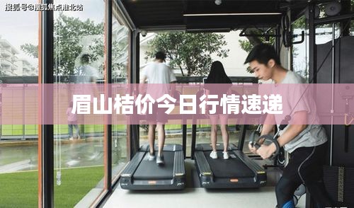 眉山桔價今日行情速遞