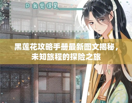 黑蓮花攻略手冊最新圖文揭秘,未知旅程的探險之旅