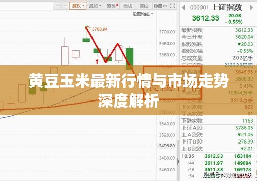 黃豆玉米最新行情與市場走勢深度解析