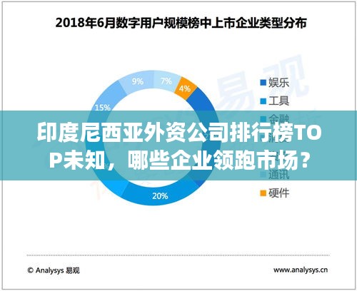 印度尼西亞外資公司排行榜TOP未知,哪些企業(yè)領(lǐng)跑市場(chǎng)?
