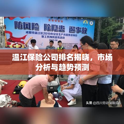溫江保險公司排名揭曉,市場分析與趨勢預測