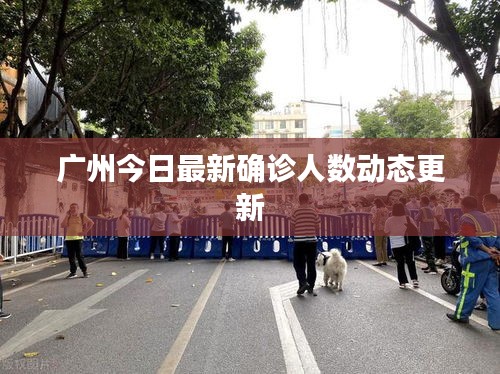 廣州今日最新確診人數(shù)動(dòng)態(tài)更新