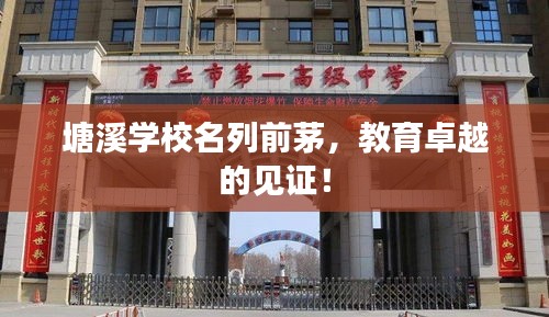 塘溪學校名列前茅,教育卓越的見證!