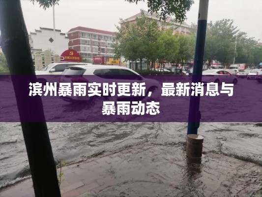 濱州暴雨實時更新,最新消息與暴雨動態(tài)